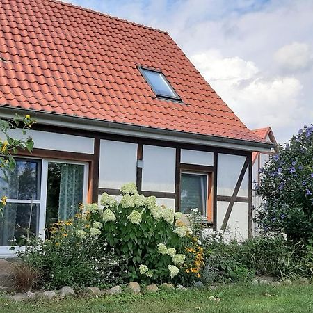 Ferienwohnung Honighof Hümmling Prebberede Exterior foto